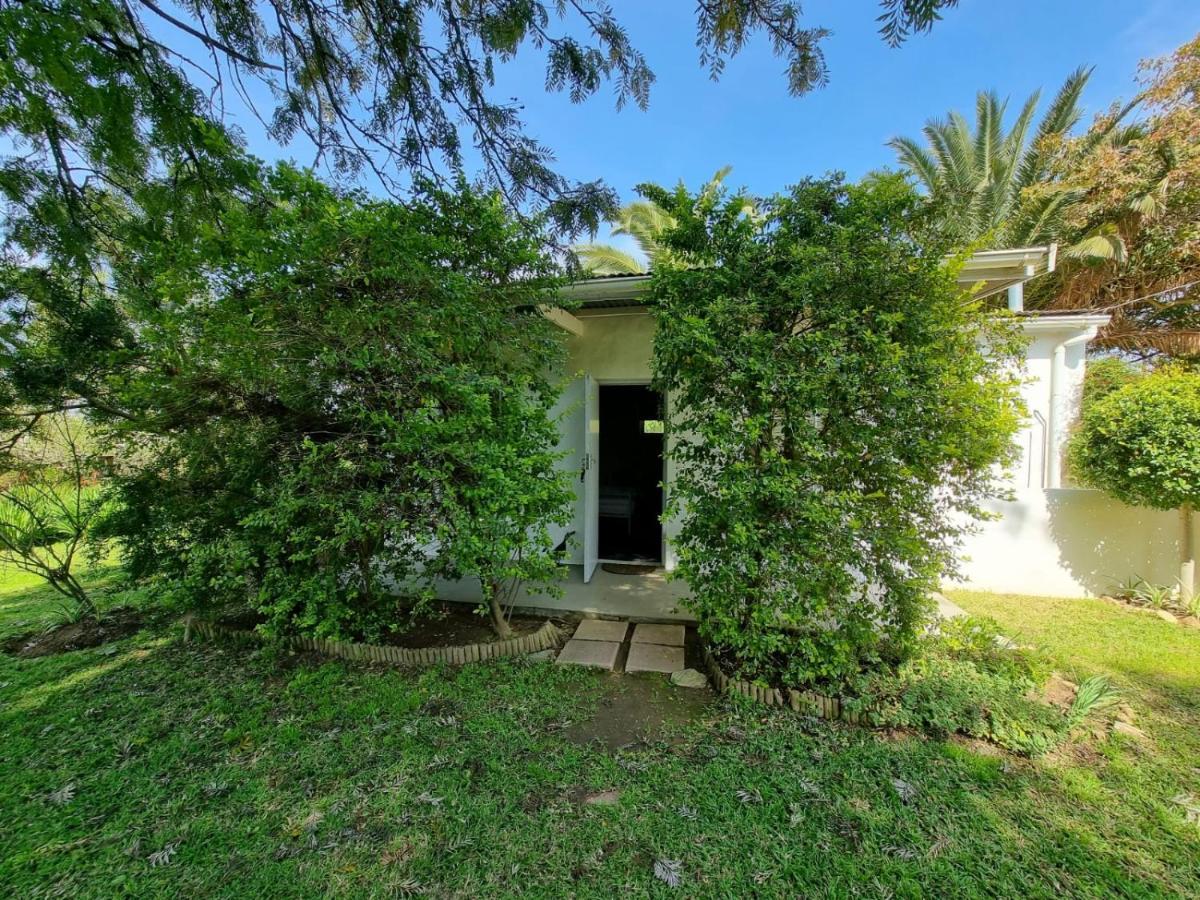 Jo Jo Cottages Riebeek-Kasteel Eksteriør bilde